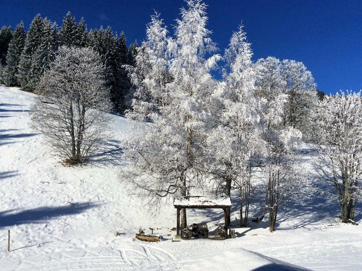 Le Refuge Villa Cordon Exteriör bild